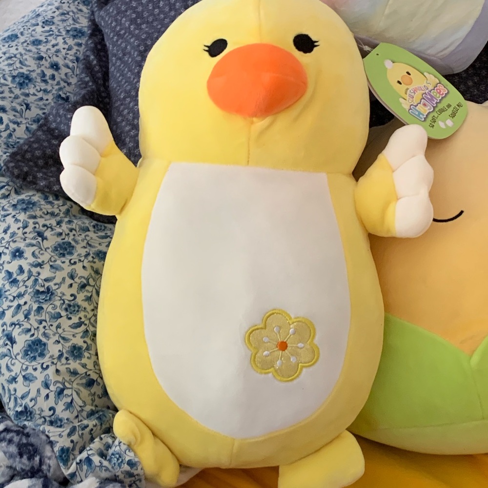 Hugmee Squishmallow!